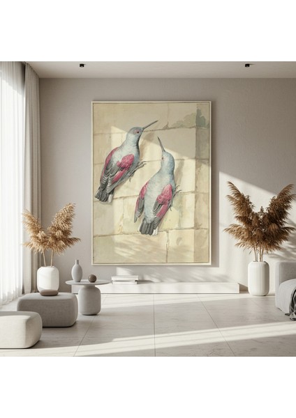 Vintage Kuş Illüstrasyonu Tablosu fırsatları