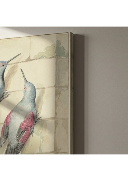 Vintage Kuş Illüstrasyonu Tablosu indirimleri