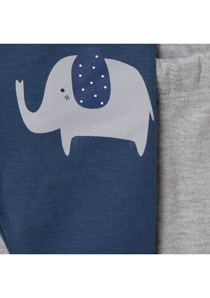 Erkek Bebek 2li Çoraplı Pantolon Çoraplı fiyatları