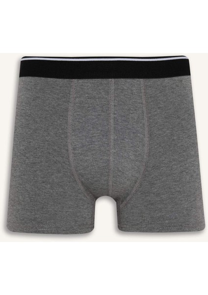 Regular Fit Retro Desenli 3'lü Boxer E0116AX25AU