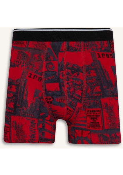 Regular Fit Retro Desenli 3'lü Boxer fiyatları
