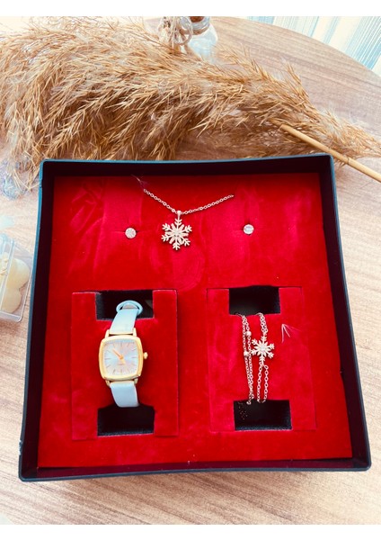 Kadın Saat Seti fiyatları