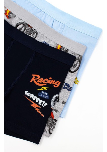 Erkek Çocuk Boxer 3'lü Baskılı (%96 Pamuk - %4 Elastan) fiyatları