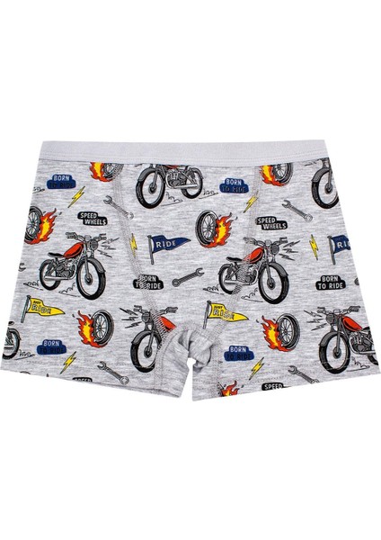 Erkek Çocuk Boxer 3'lü Baskılı (%96 Pamuk - %4 Elastan)