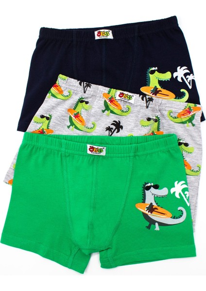 Erkek Çocuk Boxer 3'lü Baskılı (%96 Pamuk - %4 Elastan) fiyatları