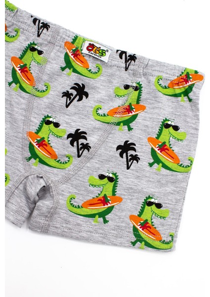 Erkek Çocuk Boxer 3'lü Baskılı (%96 Pamuk - %4 Elastan) modelleri