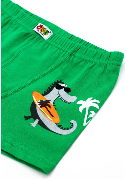 Erkek Çocuk Boxer 3'lü Baskılı (%96 Pamuk - %4 Elastan) fırsatları