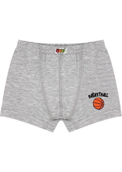 Erkek Çocuk Boxer 3'lü Baskılı (%96 Pamuk - %4 Elastan) fiyatları