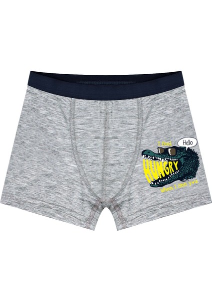 Erkek Çocuk Boxer 3'lü Baskılı (%96 Pamuk - %4 Elastan) fırsatları