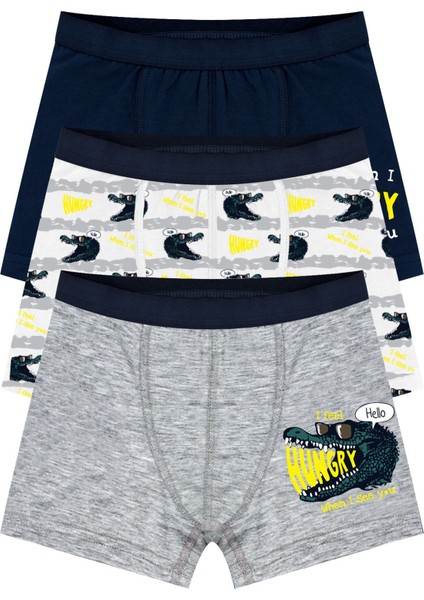 Erkek Çocuk Boxer 3'lü Baskılı (%96 Pamuk - %4 Elastan)
