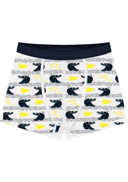 Erkek Çocuk Boxer 3'lü Baskılı (%96 Pamuk - %4 Elastan) modelleri
