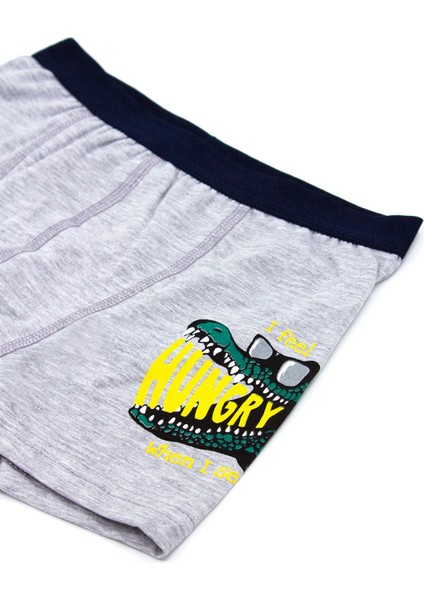 Erkek Çocuk Boxer 3'lü Baskılı (%96 Pamuk - %4 Elastan)