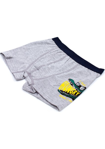 Erkek Çocuk Boxer 3'lü Baskılı (%96 Pamuk - %4 Elastan)