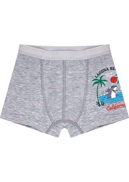 Erkek Çocuk Boxer 3'lü Baskılı (%96 Pamuk - %4 Elastan) fiyatları