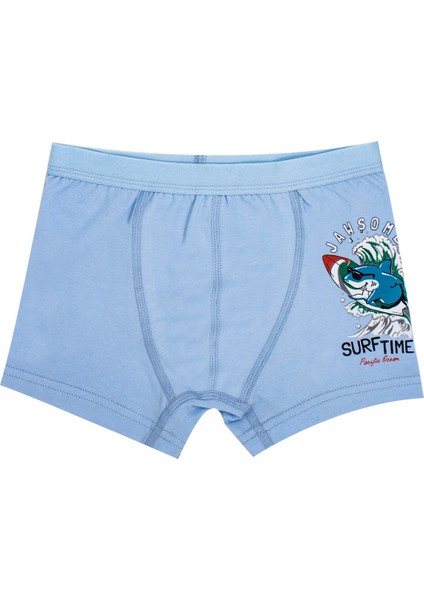 Erkek Çocuk Boxer 3'lü Baskılı (%96 Pamuk - %4 Elastan) modelleri
