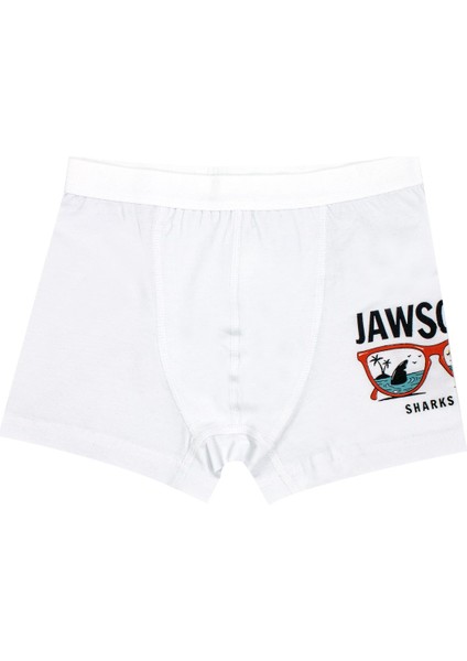 Erkek Çocuk Boxer 3'lü Baskılı (%96 Pamuk - %4 Elastan) fırsatları
