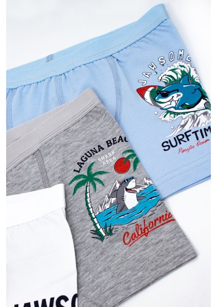 Erkek Çocuk Boxer 3'lü Baskılı (%96 Pamuk - %4 Elastan) indirimleri