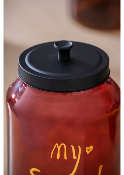 Pierre Metal Kapaklı Kavanoz Seti - 28 cm fiyatları