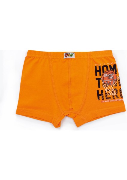 Erkek Çocuk Boxer 3'lü Baskılı (%96 Pamuk - %4 Elastan) modelleri
