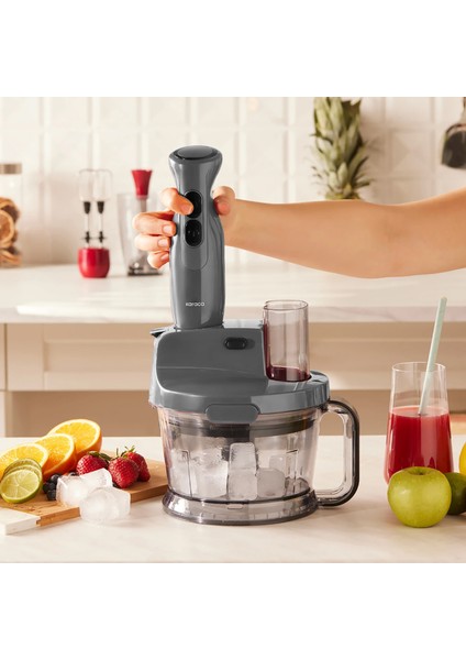 Pro-Multimax Mutfak Robotu Space Gray 2000 W fiyatları