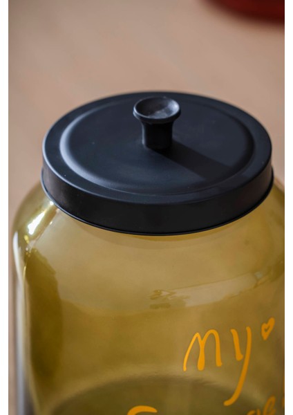 Pierre Metal Kapaklı Kavanoz Seti - 22 cm fiyatları