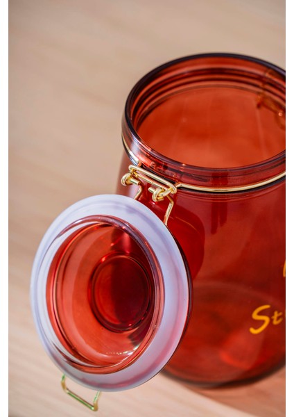 Pierre Klipsli Kapaklı Kavanoz Seti - 17 cm fiyatları