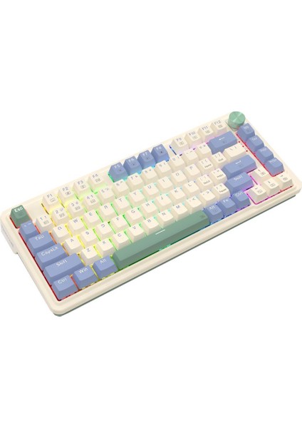 Ucal Pro K673CPG-RGB-PRO Beyaz Kablosuz Klavye modelleri