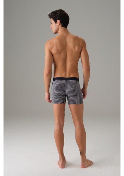 Erkek Çizgili Desenli Boxer 1866 fiyatları