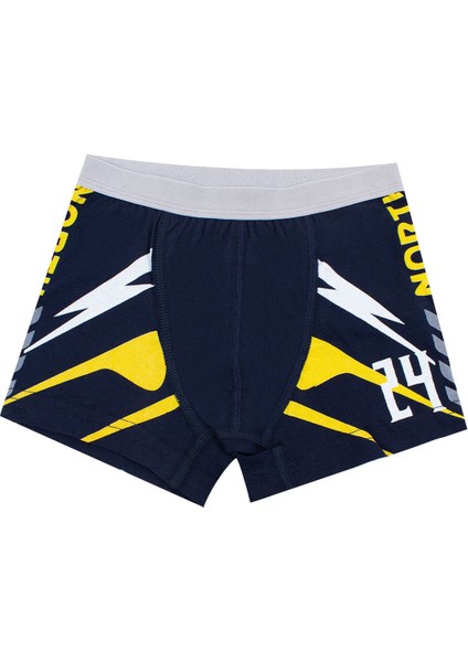 Erkek Çocuk Boxer 3'lü Baskılı (%96 Pamuk - %4 Elastan) fiyatları