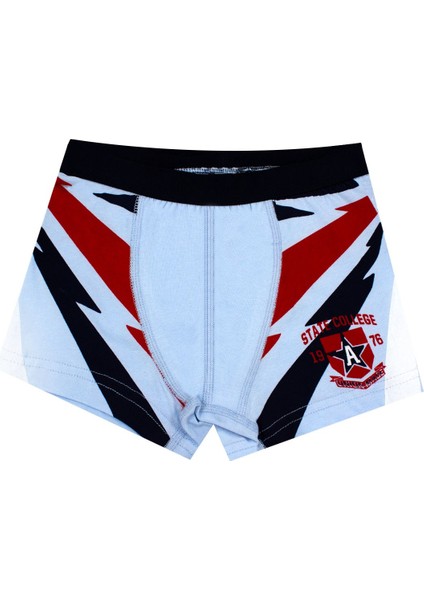 Erkek Çocuk Boxer 3'lü Baskılı (%96 Pamuk - %4 Elastan) fırsatları