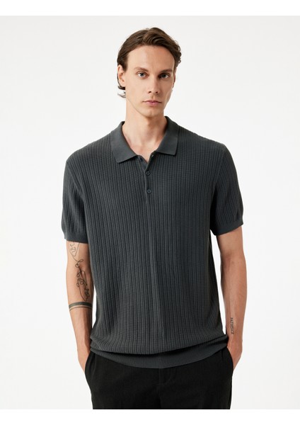 Regular Fit Kısa Kollu Pamuklu Dokulu Düğmeli Polo Yaka Triko Tişört