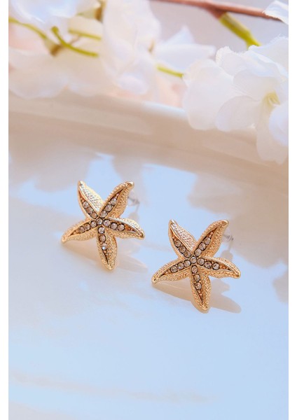 Altın Kaplama Zirkon Taşlı Deniz Yıldızı Küpe fiyatları