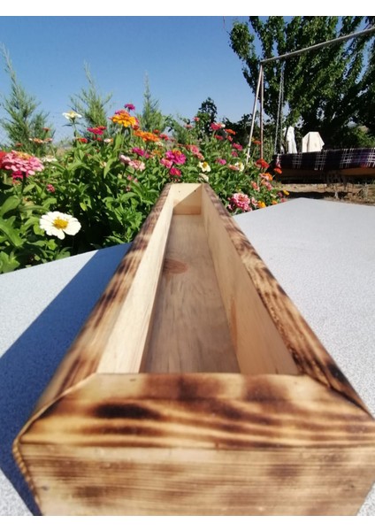 Sukulent Saksısı fiyatları