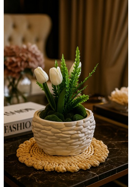 Premium Beton Tozundan Üretilmiş Dev Saksı – El Işçiliği ile Hazırlandı