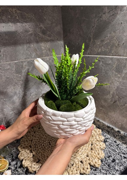 Premium Beton Tozundan Üretilmiş Dev Saksı – El Işçiliği ile Hazırlandı modelleri