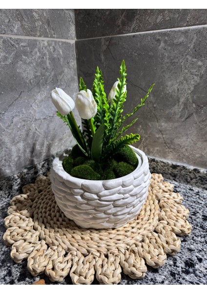 Premium Beton Tozundan Üretilmiş Dev Saksı – El Işçiliği ile Hazırlandı fırsatları