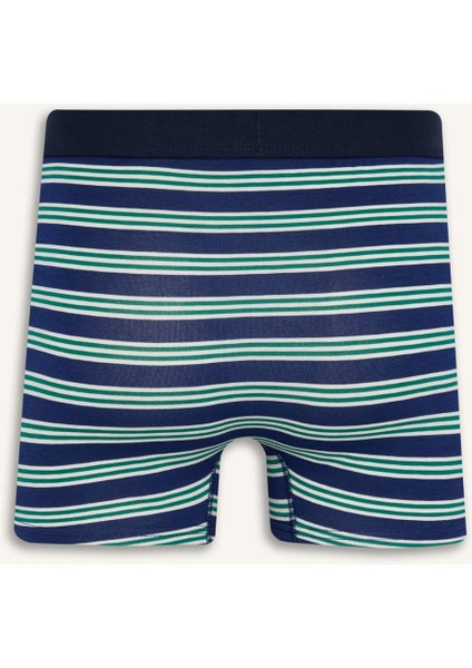 Regular Fit Çizgili 3'lü Boxer E0123AX25AU modelleri