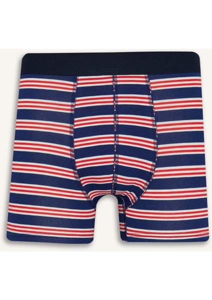 Regular Fit Çizgili 3'lü Boxer E0123AX25AU