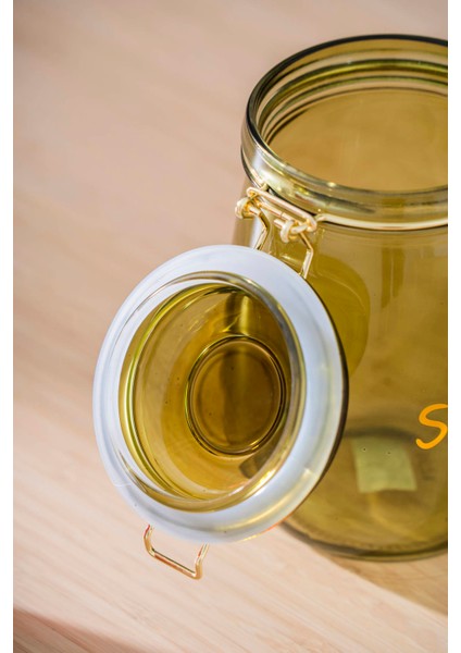 Pierre Klipsli Kapaklı Kavanoz Seti - 17 cm fiyatları