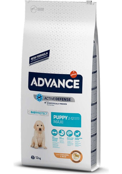 Dog Puppy Protect Maxı 12 Kg