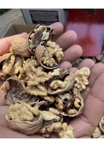 Koma CKK40 Kırmatik 220V Ceviz ve Fındık Kırma Makinesi indirimleri