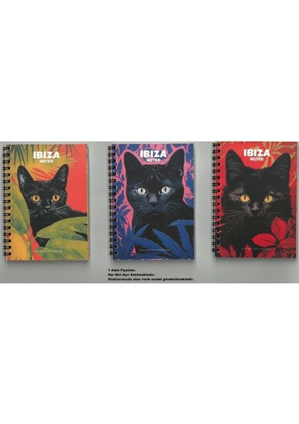 Ibıza Notes A6 Spiralli Karton Kapak 80 Yp. Çizgili Not Defteri modelleri