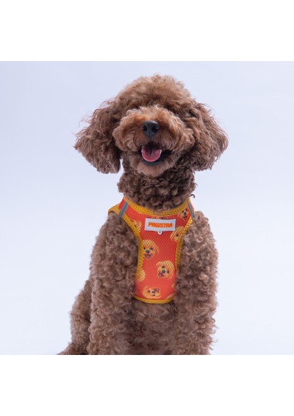 Poodle Air-Mesh Göğüs Tasması Kedi Köpek Göğüs Tasması