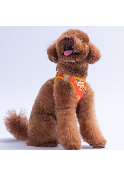 Poodle Air-Mesh Göğüs Tasması Kedi Köpek Göğüs Tasması modelleri