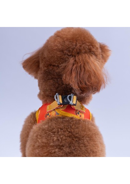 Poodle Air-Mesh Göğüs Tasması Kedi Köpek Göğüs Tasması fırsatları