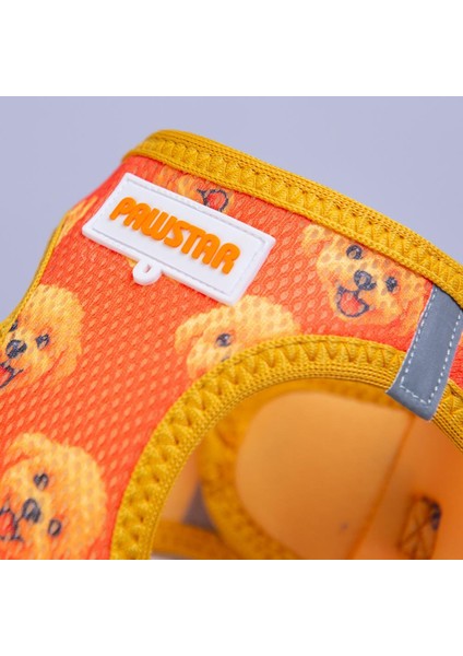 Poodle Air-Mesh Göğüs Tasması Kedi Köpek Göğüs Tasması fiyatları