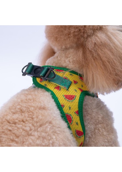 Watermelon Air-Mesh Göğüs Tasması Kedi Köpek Göğüs Tasması Karpuz Desenli Köpek Tasması modelleri