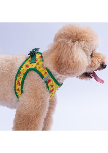 Watermelon Air-Mesh Göğüs Tasması Kedi Köpek Göğüs Tasması Karpuz Desenli Köpek Tasması fırsatları