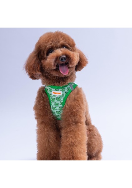 Frog Air-Mesh Göğüs Tasması Kedi Köpek Göğüs Tasması Kurbağa Desenli Köpek Tasması