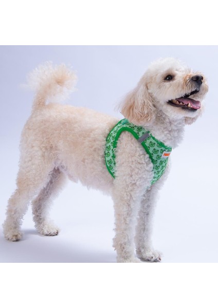 Frog Air-Mesh Göğüs Tasması Kedi Köpek Göğüs Tasması Kurbağa Desenli Köpek Tasması fırsatları